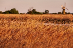 St. Benet's Level drainage mill