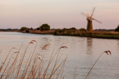 St. Benet's Level drainage mill