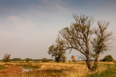 St. Benet's Abbey