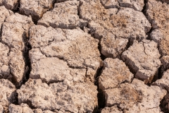Cracked Earth