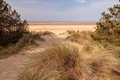 Dunes behind High Cape Beach