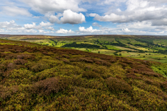 Farndale from Rudland Rigg, North York Moors