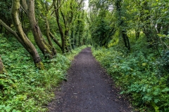 The Cinder Path, Robin Hood's Bay