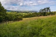 Robin Hood's Bay countryside