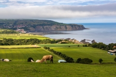 Robin Hood's Bay, North Yorkshire