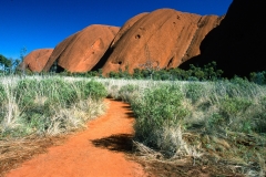 Uluru "worm"