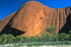 Uluru "worm"