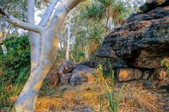 Ubirr Rock Art Site