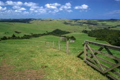 Northland landscape