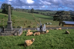 Northland landscape