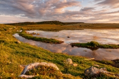 Evening Light, Northumberland