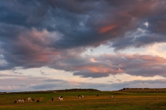 Evening Light, Northumberland