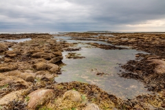 Rocks near Amble Harbour