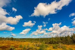 Cape Breton Highlands