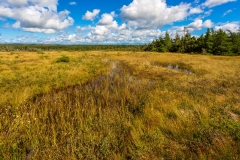 Cape Breton Highlands