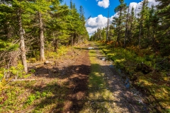 Cape Breton Highlands