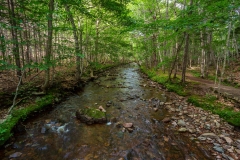 MacIntosh Brook, Cape Breton Highlands