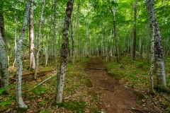 MacIntosh Brook, Cape Breton Highlands