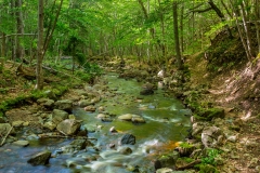 MacIntosh Brook, Cape Breton Highlands