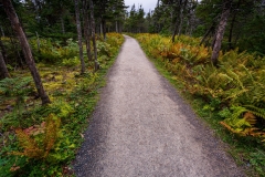 Skyline Trail, Cape Breton Highlands