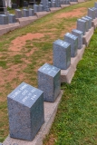 Titanic gravestones