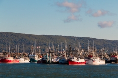 Digby harbour