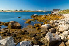 Prospect coastline