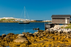 Prospect coastline