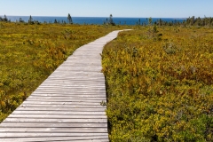 Kejimkujik National Park Seaside