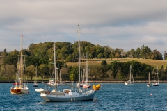 Lunenburg harbour