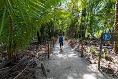 Exploring Parque Nacional Manuel Antonio