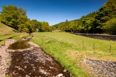 Near Wildboarclough