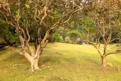 Penang Botanic Gardens