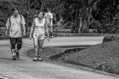 Walkers