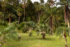 Penang Botanic Gardens