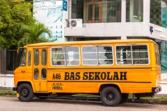 School Bus