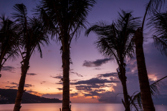 Kamala Bay Dusk