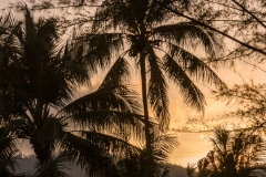 Kamala sunrise