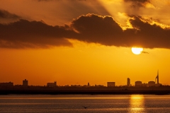 Sunset over Langstone Harbour, Hampshire