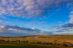 Evening, Cuckmere Valley