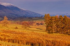 "Golden Hour" near Castlerigg Stone Circle