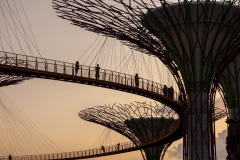 Gardens by the Bay