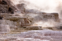 Palette Spring