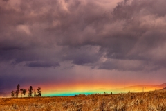 Lamar Valley