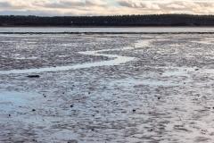 Loch Fleet