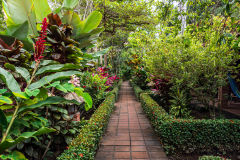 Hotel Escape Caribeño gardens