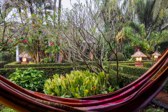 Hammock and gardens, Puerto Viejo