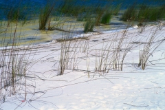 Lake McKenzie