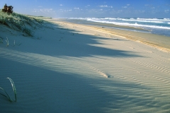 Seventy Five Mile Beach