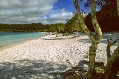 Lake McKenzie